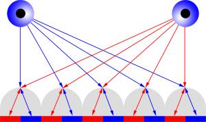 theory of lenticular